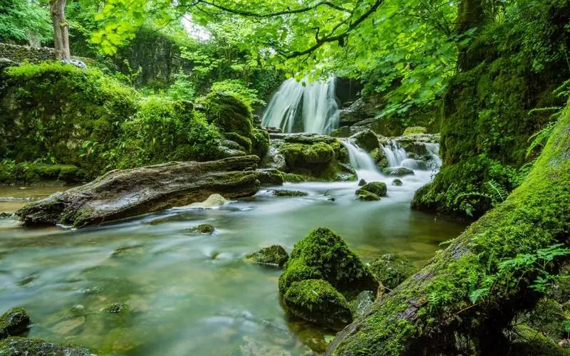 高端创意独特